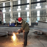 Estructura de Acero Resistente a la Corrosión, Edificio Industrial, Diseño Personalizable, Fabricante, Proveedor, Precio de Fábrica