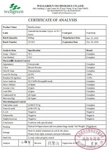 Натуральный органический экстракт грибов рейши, 40% полисахариды, порошок экстракта Ganoderma Lucidum - Product Image 3