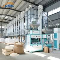 Usine Complète de Mouture de Riz Entièrement Automatique de Grande Capacité 100 T/J pour le Blanchiment du Riz Paddy