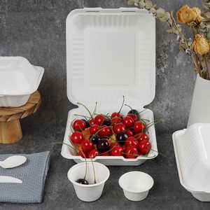 Caja de bagazo biodegradable desechable para comida rápida, contenedor de almuerzo, tubo de bagazo de caña de azúcar recubierto, con cierre elegante tipo concha - Product Image 2