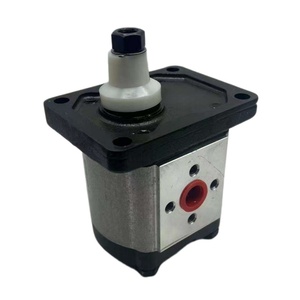 Reliable Performance Hydraulic Gear Pump GHP Series GHP1-D-16-FG GHP2-D-40-FG GHP3-D-90-FG Farm Equipment - Product Image 4