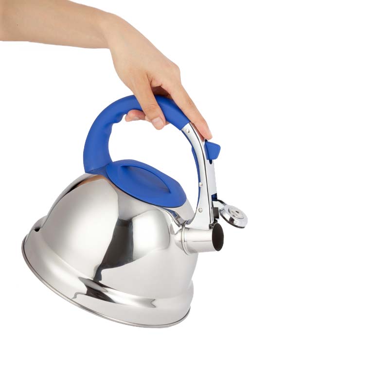 Металлический чайник из нержавеющей стали под заказ, чайный чайник со свистком для отеля, кухни