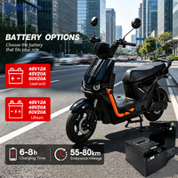 Moto électrique 1000W 60V, couleur personnalisée, pour adulte, usage urbain, prix de gros, directement de l'usine