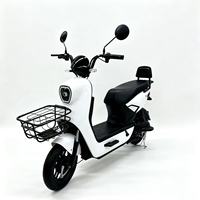 Speedometer Digital Sepeda Listrik 48V 500W, Keranjang Depan Logam, Jok yang Dapat Disesuaikan, Kontroler Tahan Air untuk Dewasa