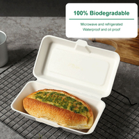 Nouvelle boîte pliante à bagasse jetable boîte à hot-dog Design Sense Dégradable Écologique Sûr Papier de canne à sucre non toxique