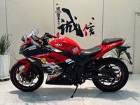 Renzhe Ninjas Nouvelle Moto Sportive Tout-Terrain 250cc à Essence, Vitesse Maximale >80km/h