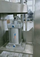 Moteur de granulateur à lit fluidisé automatique BZ FL-200 pour la transformation alimentaire, comprimés, capsules effervescentes, granulés, boissons instantanées