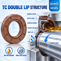Joint d'étanchéité à double lèvre en NBR FKM TC personnalisé, avec boîtier métallique, pour arbre rotatif de pompe hydraulique et moteur électrique