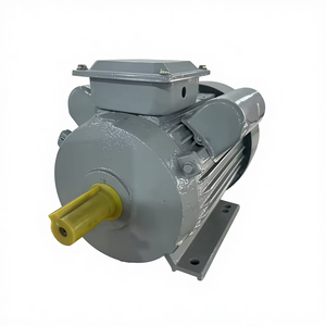 Motor de inducción reversible de control de velocidad YC 112M 3HP AC monofásico - Carcasa de hierro fundido eficiente IP44/IP54 para - Product Image 1