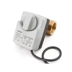 AC220V DN15 DN20 DN25 2 Way 3 Wires Brass Motorized Ball Valve Electric Actuato With Manual Switch