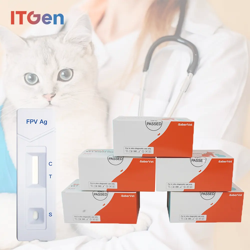 Equipamento de diagnóstico veterinário para detecção de doenças de gatos, kits de teste rápido de antígeno para vírus de panleucopenia felina, PET FPV ag