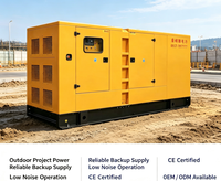 Groupe électrogène diesel 250 kW à faible bruit, direct usine, avec surveillance à distance pour chantier et alimentation de secours, OEM acceptable