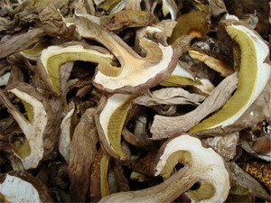 <span class=keywords><strong>Boletus</strong></span> <span class=keywords><strong>Edulis</strong></span> de la mejor calidad a un <span class=keywords><strong>precio</strong></span> bajo. - Product Image 4