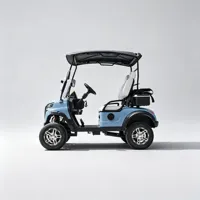 Voiturette électrique haut de gamme 2 places conçue pour les passionnés de golf avec sièges confortables, une conduite fluide et un design élégant.