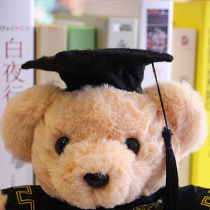 Orsacchiotto con Cappello da Dottore, Peluche Super Morbido, Stagione delle Lauree, Anniversario, Antistress, Cotone PP, ODM 20CM, Lavabile a Mano - Product Image 6