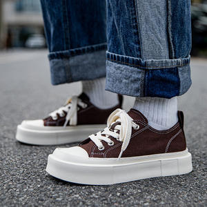 Chaussures en toile pour hommes, nouveau style 2026, chaussures d'été respirantes pour hommes, chaussures plateforme, chaussures décontractées à semelle épaisse, chaussures en toile tendance pour hommes - Product Image 4