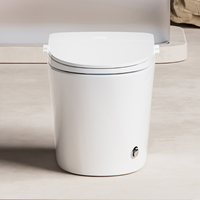 Bidet électrique intelligent CUPC ADA US ETL à fixation au sol avec couvercle automatique et télécommande