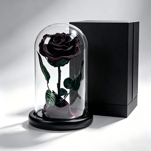 Roses noires préservées sous cloche en verre, fleurs préservées <span class=keywords><strong>de</strong></span> taille moyenne en provenance <span class=keywords><strong>de</strong></span> Chine, coffret cadeau pour femmes - Product Image 3