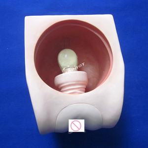 Modelo de Entrenamiento para la Práctica de la Anticoncepción Femenina, Simulador de Demostración para la Enseñanza de DIU - Product Image 3