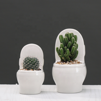 Pot de fleurs en céramique en forme de toilette, mini jardinières pour la décoration du jardin