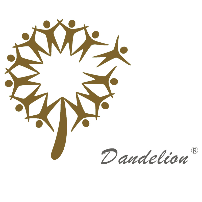 Yangzhou Dandelion Logistics Equipment Co., Ltd. logo