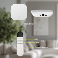 Stores romains motorisés sans perçage Stores romains Wifi Smart Control Stores romains pour fenêtre pour chambre