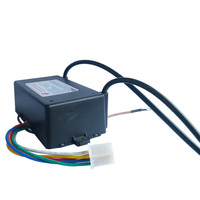 Transformateur d'allumage haute tension à longue durée de vie 2026 pour brûleur à gaz automatique, allumeur électrique à impulsion