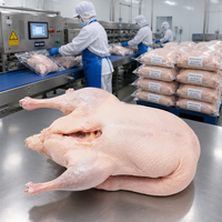 할랄 냉동 손질된 통오리 대량 도매 발 없음 내장물 없음 2.0-2.5kg 수출용 진공 포장 가금류 공급업체