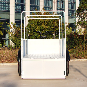 Bicicletta Elettrica a 3 Ruote per Consegne 48V 500W con Carico Posteriore e Box, Triciclo Cargo con Tettuccio, Prezzo di Fabbrica - Product Image 4