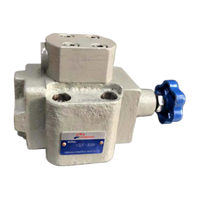 Válvula de Alivio Hidráulica Y2 Y2-Hd10 Y2-Hc10 Y2-Hd10 Y2-Hd20 Y2-Hb20 Y2-Ha32 Y2-H20 Válvula de Alivio para Tuberías Hidráulicas