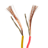 Kabel Tahan Api Kelas B Inti Tembaga Bebas Oksigen 99,99% Berisolasi XLPO dengan Selubung WDZBN-RYJS 2 Inti 2.5mm² 300/500V
