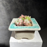 Nouveau style de pot de fleurs pour succulentes, design minimaliste glacé effet craquelé, combinaison sur pied et de bureau, simple et auto-absorbant