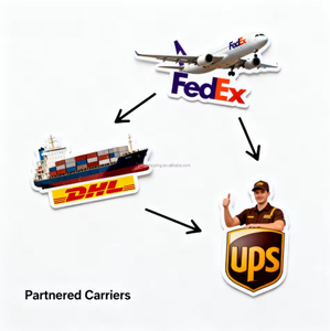 Agente de Transporte Aéreo Especializado Serviço de Logística Porta a Porta Envio de Carga Porta a Porta DHL Express da China para EUA/CA - Product Image 2