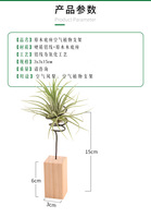 Support pour plantes à air à base de bûche personnalisé-Accessoires pour broméliacées à air-Décoration florale sans sol