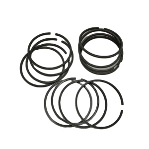 Anillo de Pistón de Alta Resistencia y Peso Ligero de 1 kg para Motor Quanchai 495, Pieza de Repuesto para Sistema de Combustión, Jiangsu, Alta Resistencia al Desgaste - Product Image 2