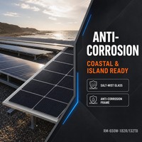 Panneau solaire bifacial TOPCon de type N 650W 182R 132 cellules pour le développement de projets de production d'énergie solaire en Asie du Sud-Est