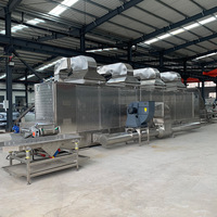 Secadora Industrial TEK Machinery para Yuca, Chile y Pimiento, Máquina Secadora de Banda de Malla de Aire Caliente