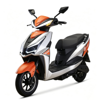 Moto électrique avancée 1000W pour adultes : Plaisir sans effort, écologique