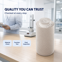 Diffuseur d'arômes pour véhicule à marque privée 20ml, machine à parfum sans eau Bluetooth, couleur et logo personnalisés, emballage, 10-50m³, minuterie intelligente