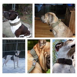 Collar Táctico Resistente para Mascotas, Collar de Nailon para Perros Grandes, para Pitbull, <span class=keywords><strong>Doberman</strong></span>, Rottweiler - Product Image 2