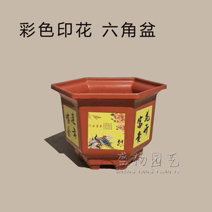 Pot de fleurs hexagonal en plastique, imitation porcelaine épaissie, style traditionnel, pour jardinage domestique, plantation en extérieur, durable - Product Image 2