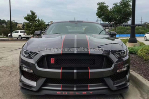 Kit de Carrocería de Alta Calidad para Ford <span class=keywords><strong>Mustang</strong></span> FT350R, Parrilla Delantera <span class=keywords><strong>Shelby</strong></span>, Labio Delantero <span class=keywords><strong>GT350R</strong></span> para <span class=keywords><strong>Mustang</strong></span> 2015-2017 - Product Image 3
