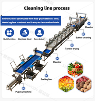 Industriële fruitwasmachine Automatische roestvrijstalen fruitwasser 800kg/u Tomatenwas- en sorteerlijn