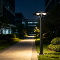 Lampe de jardin LED en aluminium 100W 80W 120W, étanche IP65, pour la décoration de cour et de chemin, directement de l'usine