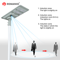 Lampadaire solaire LiFePO4 20W 30W 40W 50W 42AH IP65, lampadaire LED solaire pour l'éclairage des rues de quartier