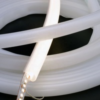 Bande de Tube de Guide Néon LED Incurvé Flexible et Étanche Diffuseur en Silicone Étanche