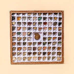 Kit de Colección de Fósiles Minerales de Roca Natural, Caja de Exhibición de Gemas y Cristales, Set Educativo de Ciencia Geológica - Product Image 2