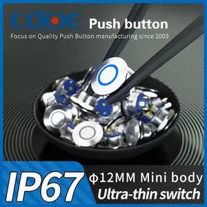 超薄型金属12mmステンレス鋼マイクロスイッチ防水ip671noパネルプッシュボタン