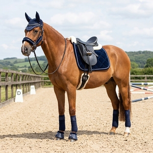 <span class=keywords><strong>Tapis</strong></span> de selle pour cheval en velours de haute qualité avec rembourrage en coton, personnalisable, luxe, équitation - Product Image 1