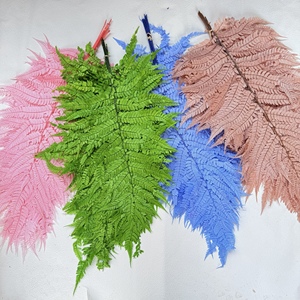 Feuilles de fougère préservées en gros, feuilles de <span class=keywords><strong>Jue</strong></span>, grandes feuilles de <span class=keywords><strong>Jue</strong></span>, petites feuilles, pour la décoration de la maison, la décoration de mariage - Product Image 2